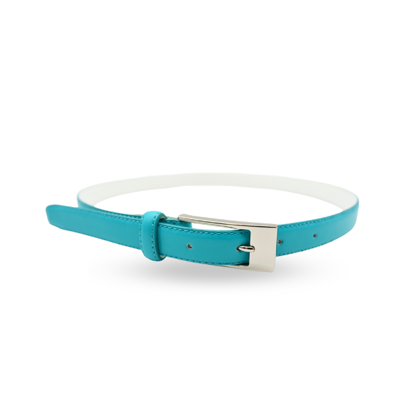 Deaneen Aqua Blue belts for women